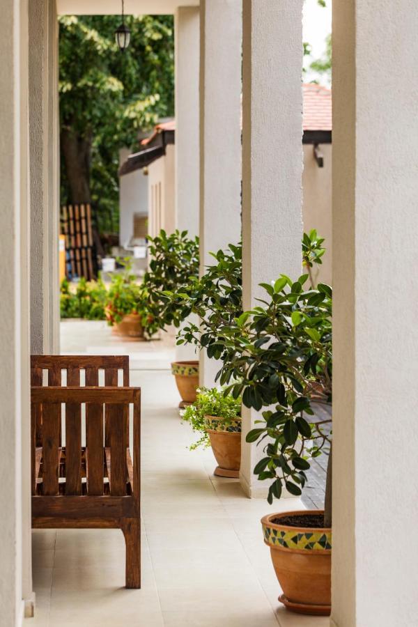 The Cliff Beach Apartments オブゾー エクステリア 写真